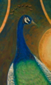 Sdc13945-thumbnail