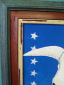 Sdc13480-original-thumbnail