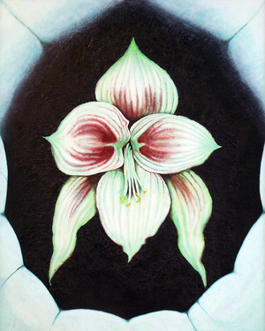 Raw_amaryllis-small