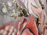 Painting_details_view3-thumbnail