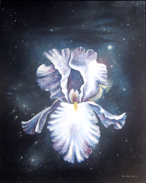 Raw_space_iris-small