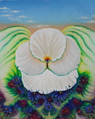 Sdc14573-thumbnail