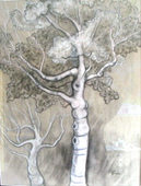 Raw_sdc13474-thumbnail