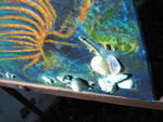 Img_9712-thumbnail